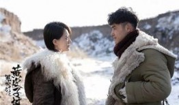 黄皮子坟20集在线观看