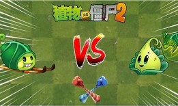 火鸡投手爆料视频大全下载,揭秘幕后真相与精彩瞬间